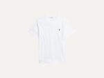 Cotton Jersey Sleep Shirt