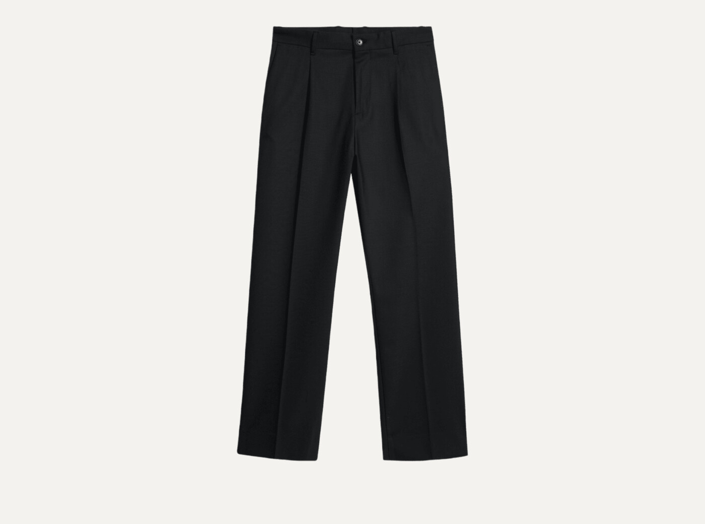 Haij Pleated Twill Pants