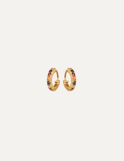 Nubia Color Earrings