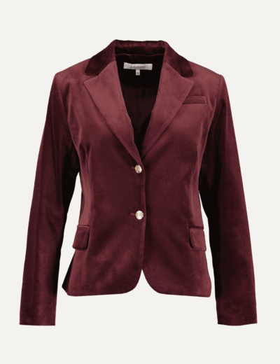 Sandra Velvet Blazer